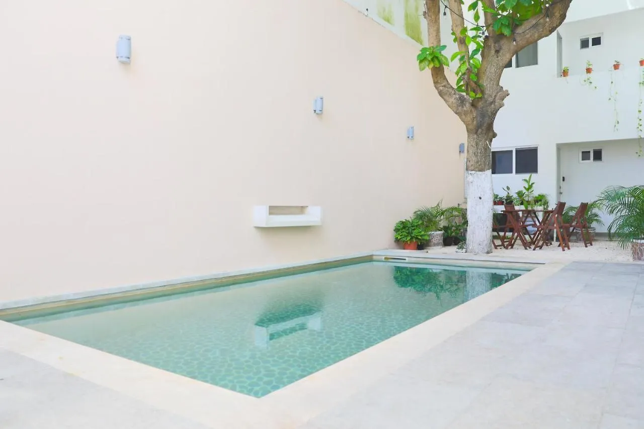פלאייה דל כרמן Almond Suites 0*, פלאייה דל כרמן