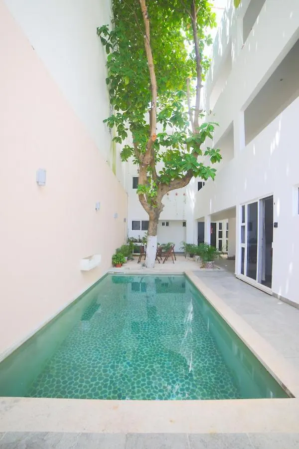 פלאייה דל כרמן Almond Suites דירה